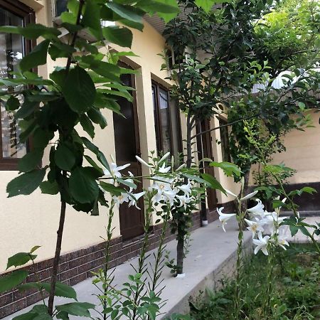 Дом Отель Бадамзар Taškent Exteriér fotografie